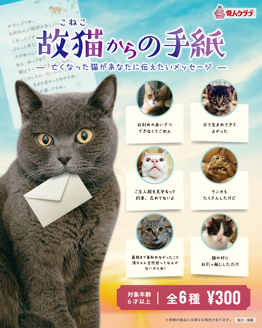 故猫からの手紙