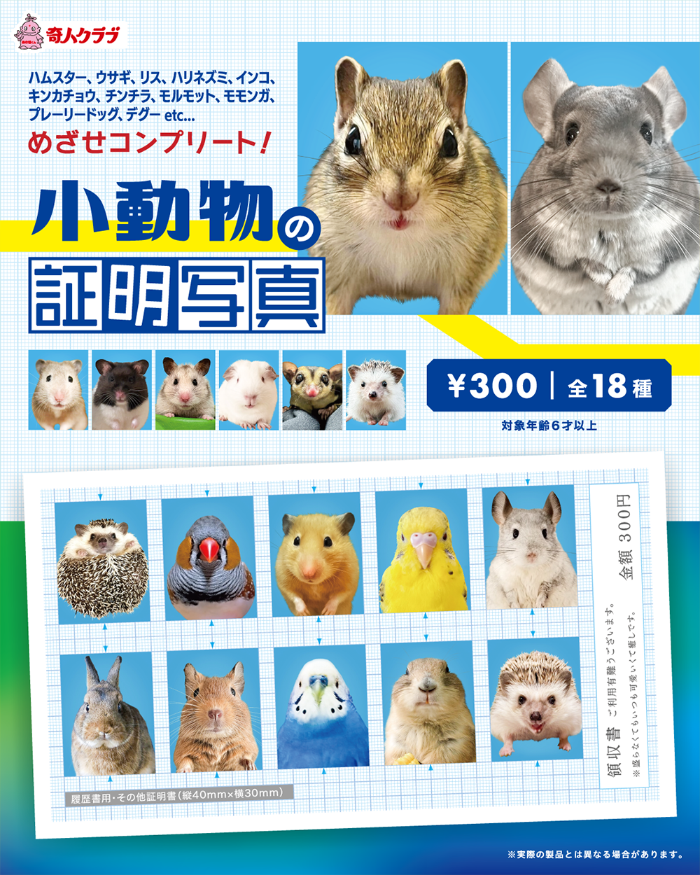 小動物の証明写真