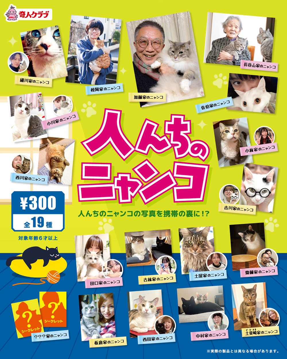 人んちのニャンコ