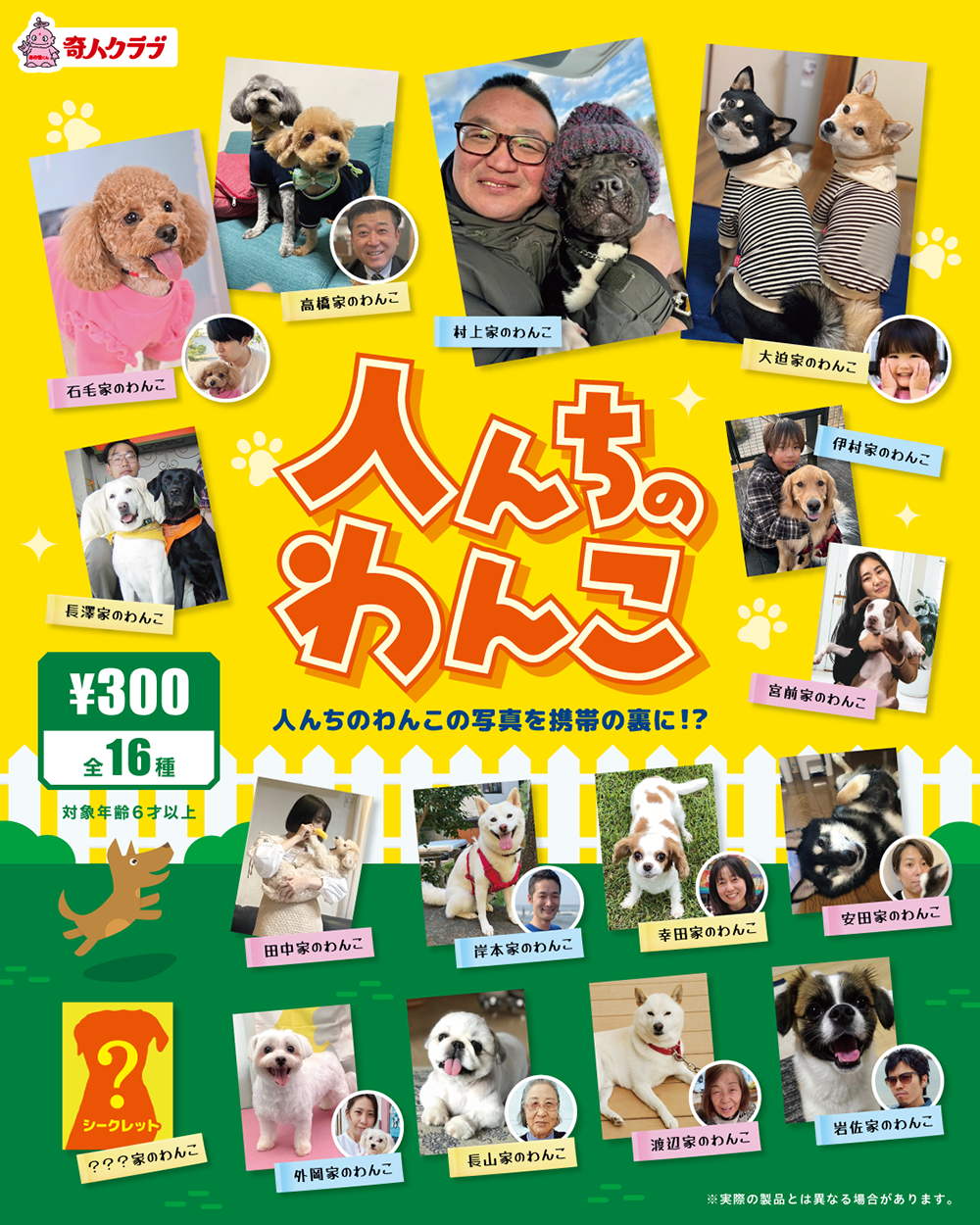 人んちのわんこ