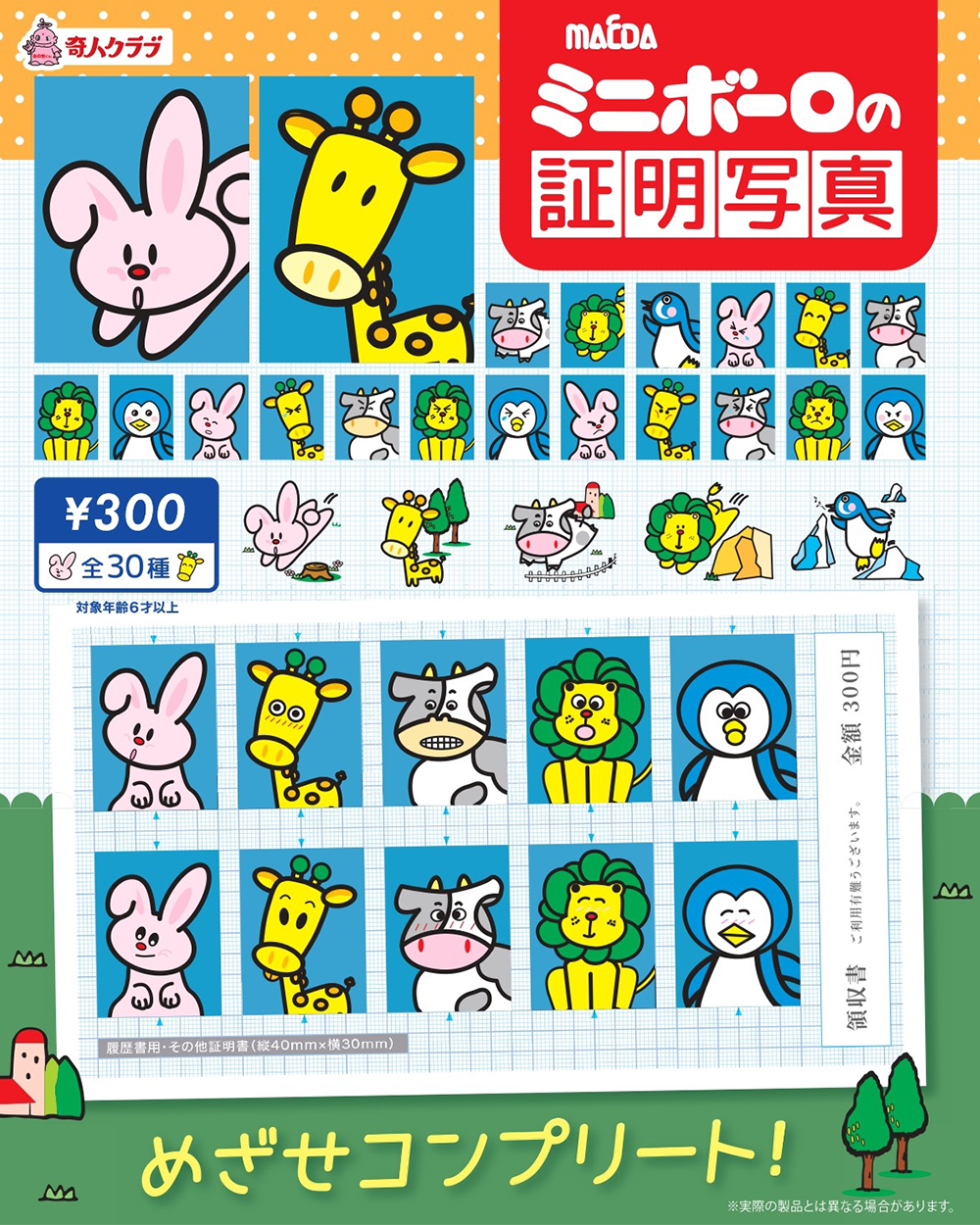 ミニボーロの証明写真