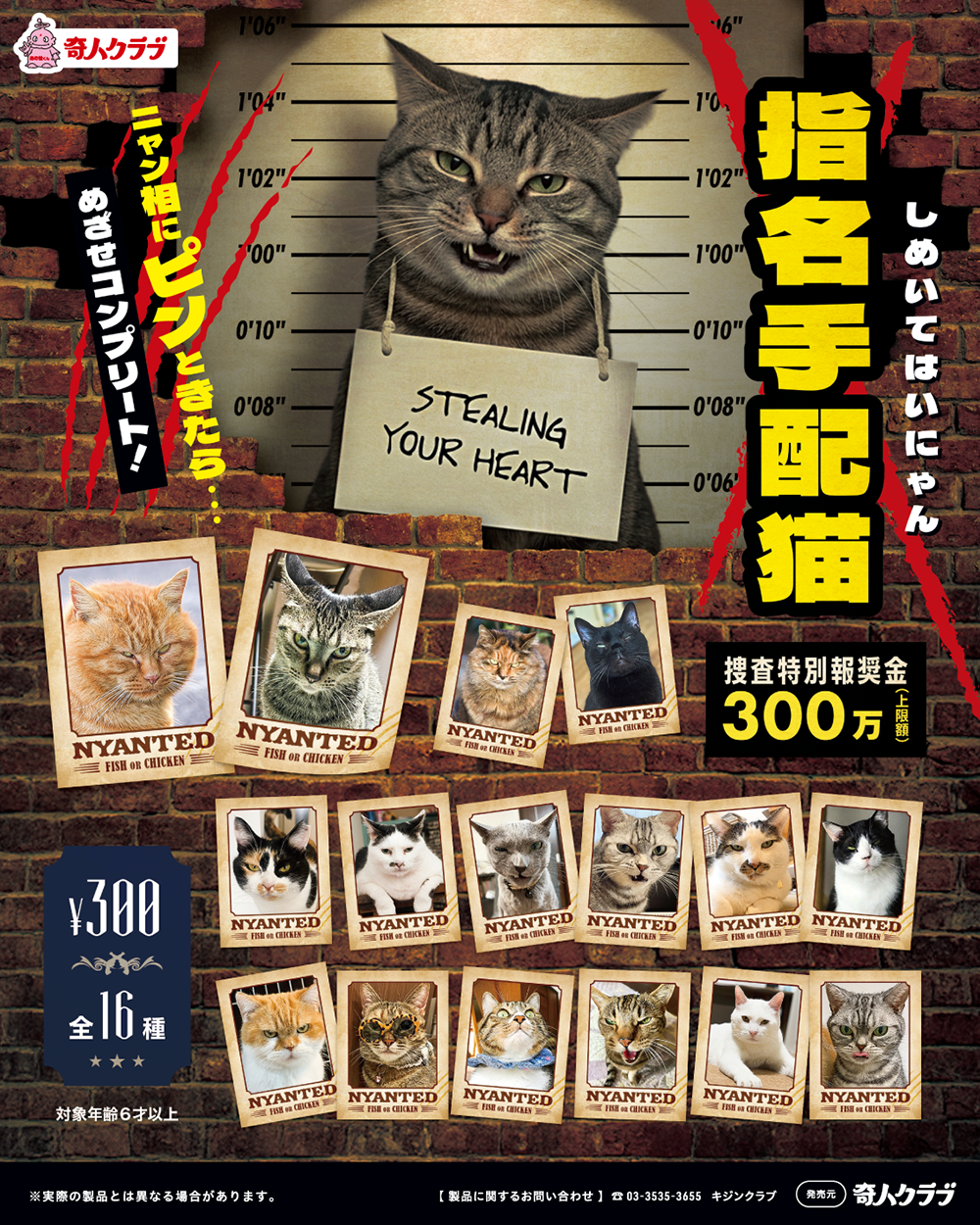 指名手配猫(しめいてはいにゃん)