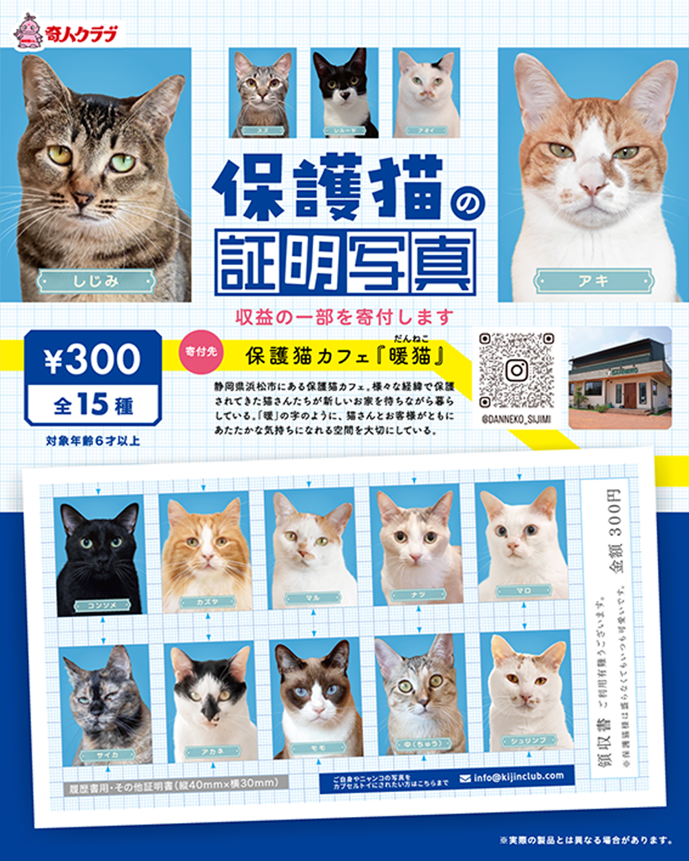 保護猫の証明写真