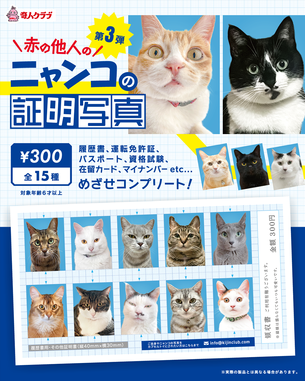 赤の他人のニャンコ証明写真 第3弾