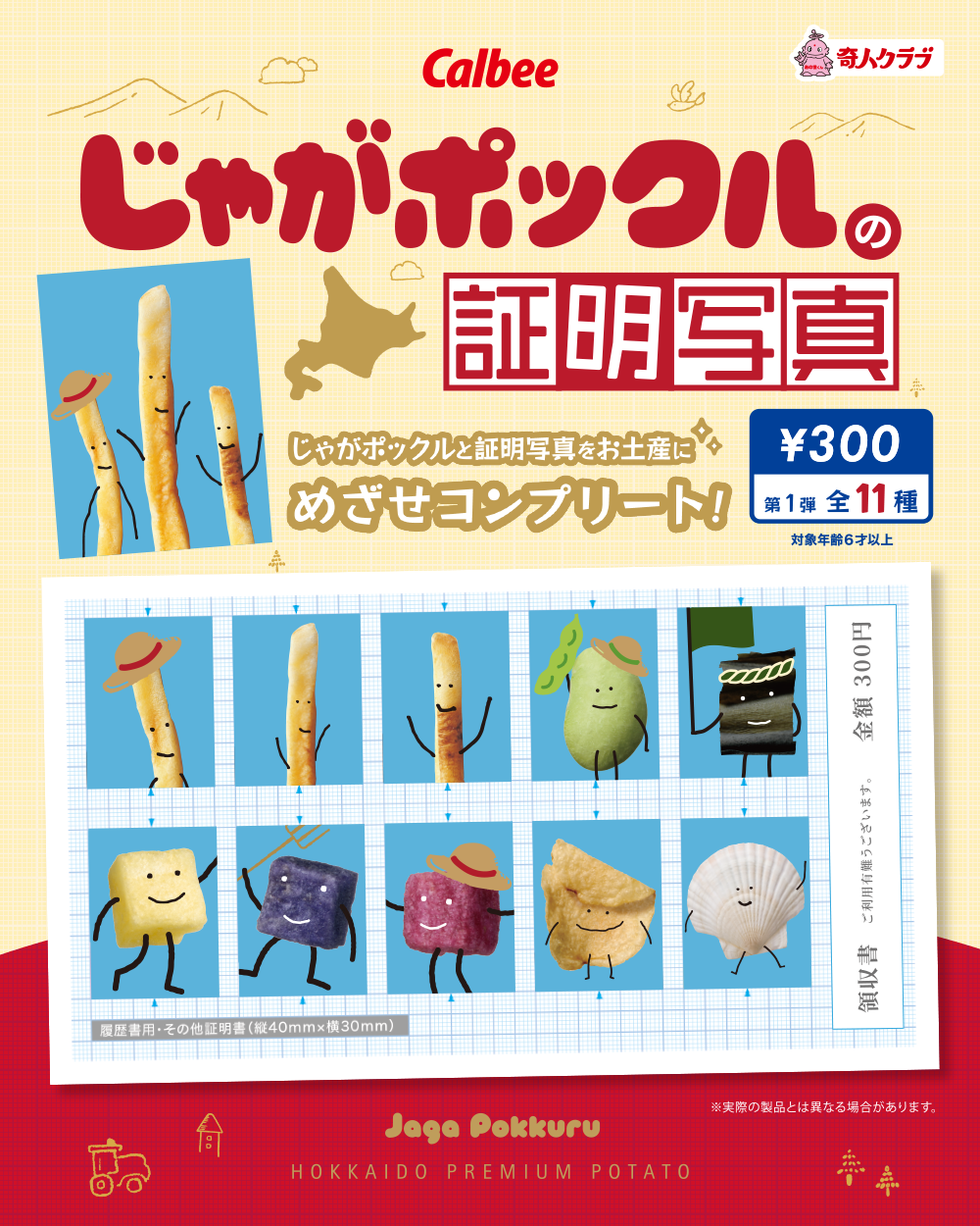 じゃがポックルの証明写真